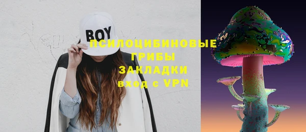 ECSTASY Абаза
