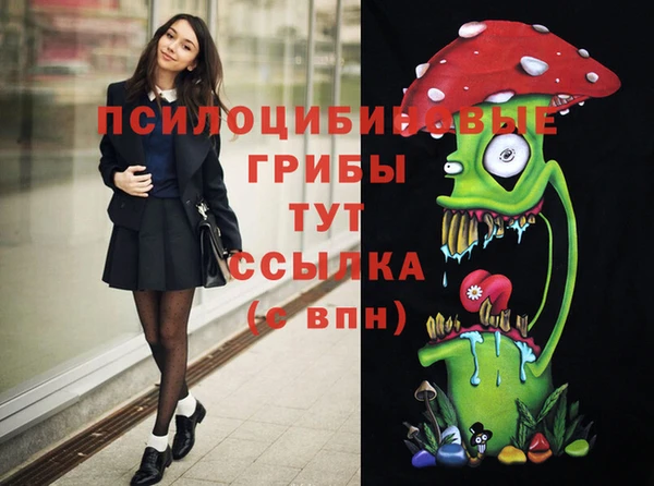 ECSTASY Абаза