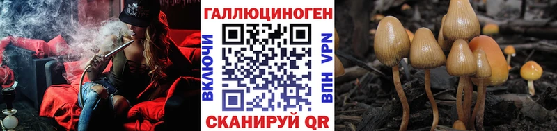 Галлюциногенные грибы Psilocybe  Аксай 